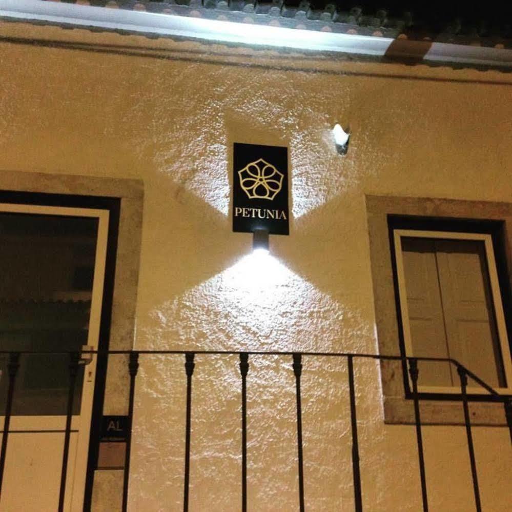 Petunia - Guest House Cascais Exterior photo